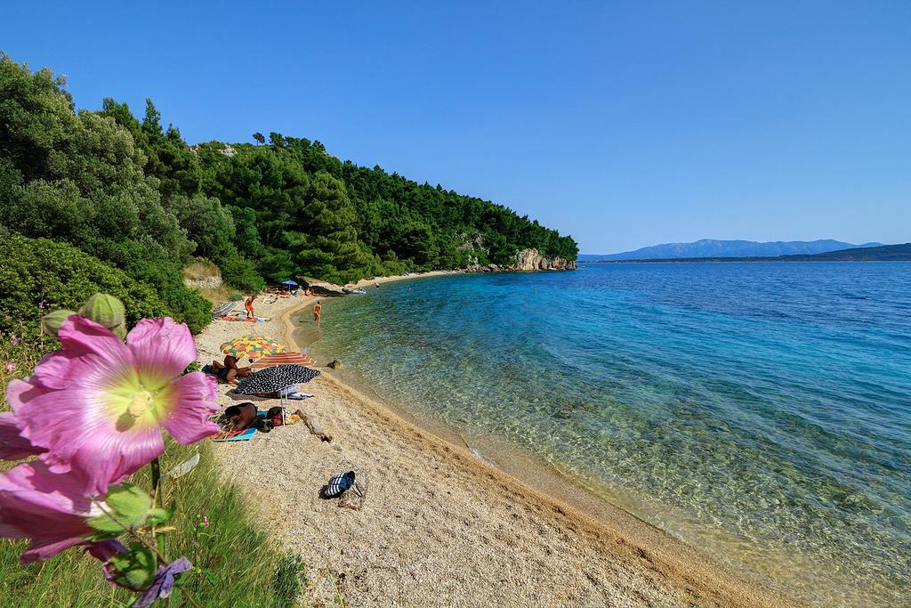 Holiday House Zorra Živogošće Quarto foto