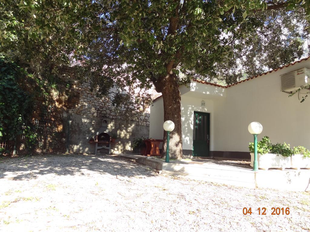 Holiday House Zorra Živogošće Exterior foto